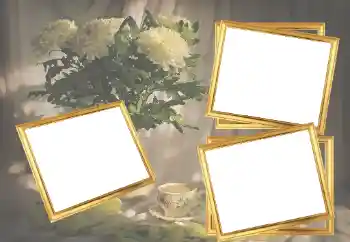 Efekt zdjęciowy z kategorii Ramki dla kobiet № 45921