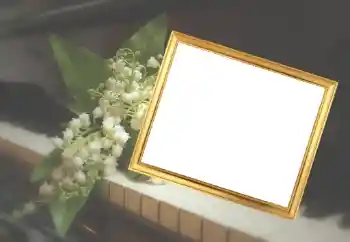 Efekt zdjęciowy z kategorii Ramki dla kobiet № 45929