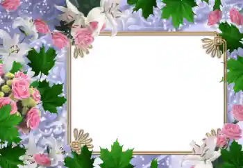 Efekt zdjęciowy z kategorii Ramki dla kobiet № 47030