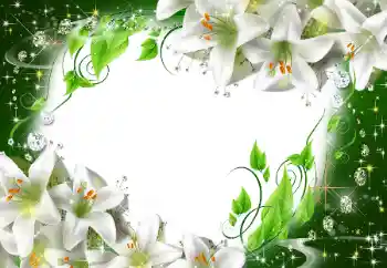 Efekt zdjęciowy z kategorii Ramki dla kobiet № 47175