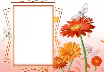 Efekt zdjęciowy z kategorii Ramki dla kobiet № 47199