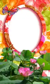 Efekt zdjęciowy z kategorii Ramki dla kobiet № 47253