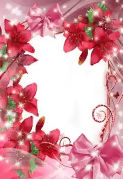 Efekt zdjęciowy z kategorii Ramki dla kobiet № 47321