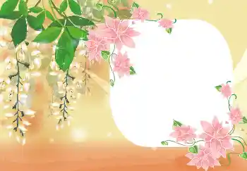 Efekt zdjęciowy z kategorii Ramki dla kobiet № 4893