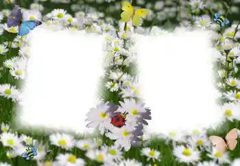 Efekt zdjęciowy z kategorii Ramki dla kobiet № 49398