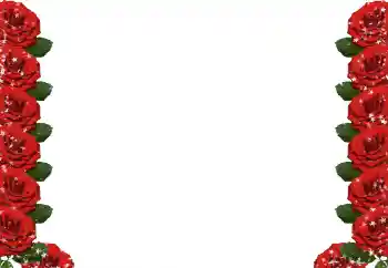 Efekt zdjęciowy z kategorii Ramki dla kobiet № 49424