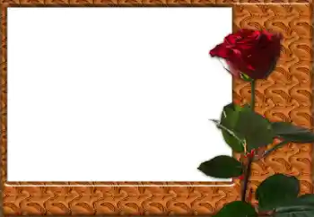 Efekt zdjęciowy z kategorii Ramki dla kobiet № 49427