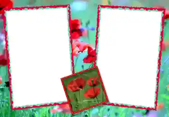 Efekt zdjęciowy z kategorii Ramki dla kobiet № 49428