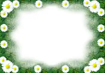 Efekt zdjęciowy z kategorii Ramki dla kobiet № 49443