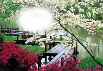 Efekt zdjęciowy z kategorii Ramki dla kobiet № 50653