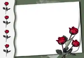 Efekt zdjęciowy z kategorii Ramki dla kobiet № 50854