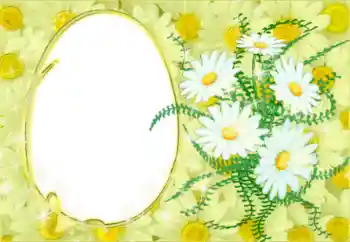 Efekt zdjęciowy z kategorii Ramki dla kobiet № 50878