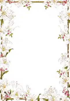 Efekt zdjęciowy z kategorii Ramki dla kobiet № 50918 Efekt zdjęciowy z kategorii Ramki dla kobiet № 50918