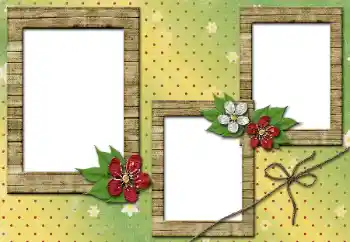 Efekt zdjęciowy z kategorii Ramki dla kobiet № 51970 Efekt zdjęciowy z kategorii Ramki dla kobiet № 51970