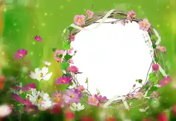 Efekt zdjęciowy z kategorii Ramki dla kobiet № 52077