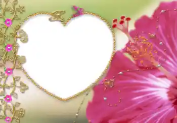 Efekt zdjęciowy z kategorii Ramki dla kobiet № 52086