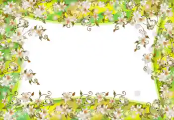 Efekt zdjęciowy z kategorii Ramki dla kobiet № 52181 Efekt zdjęciowy z kategorii Ramki dla kobiet № 52181