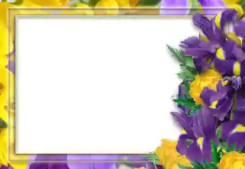 Efekt zdjęciowy z kategorii Ramki dla kobiet № 52253 Efekt zdjęciowy z kategorii Ramki dla kobiet № 52253