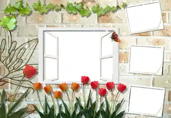 Efekt zdjęciowy z kategorii Ramki dla kobiet № 53297 Efekt zdjęciowy z kategorii Ramki dla kobiet № 53297