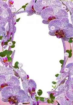 Efekt zdjęciowy z kategorii Ramki dla kobiet № 5465