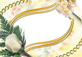 Efekt zdjęciowy z kategorii Ramki dla kobiet № 5504