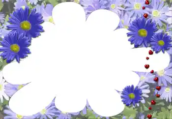 Efekt zdjęciowy z kategorii Ramki dla kobiet № 5507