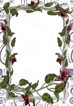 Efekt zdjęciowy z kategorii Ramki dla kobiet № 5508