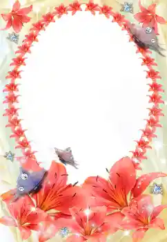 Efekt zdjęciowy z kategorii Ramki dla kobiet № 5539