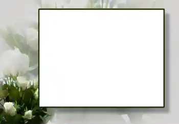 Efekt zdjęciowy z kategorii Ramki dla kobiet № 55444