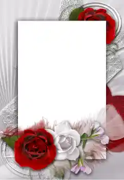 Efekt zdjęciowy z kategorii Ramki dla kobiet № 55454 Efekt zdjęciowy z kategorii Ramki dla kobiet № 55454