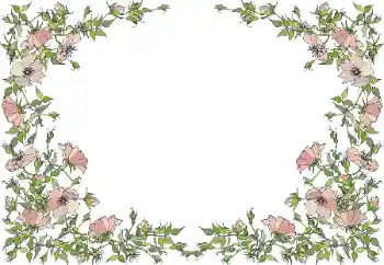 Efekt zdjęciowy z kategorii Ramki dla kobiet № 55495