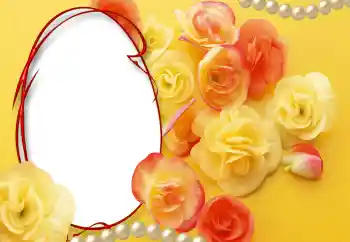 Efekt zdjęciowy z kategorii Ramki dla kobiet № 55528