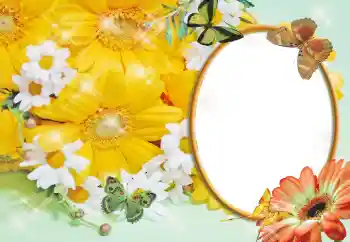 Efekt zdjęciowy z kategorii Ramki dla kobiet № 55529