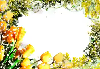 Efekt zdjęciowy z kategorii Ramki dla kobiet № 5582