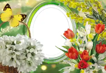 Efekt zdjęciowy z kategorii Ramki dla kobiet № 56529