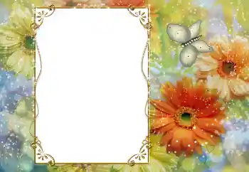 Efekt zdjęciowy z kategorii Ramki dla kobiet № 56557 Efekt zdjęciowy z kategorii Ramki dla kobiet № 56557