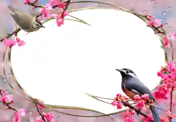 Efekt zdjęciowy z kategorii Ramki dla kobiet № 56627 Efekt zdjęciowy z kategorii Ramki dla kobiet № 56627