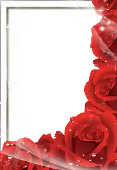 Efekt zdjęciowy z kategorii Ramki dla kobiet № 57683 Efekt zdjęciowy z kategorii Ramki dla kobiet № 57683
