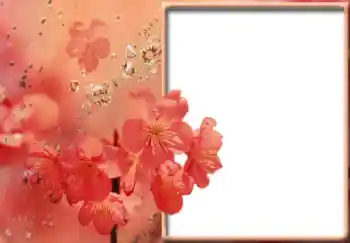 Efekt zdjęciowy z kategorii Ramki dla kobiet № 57711 Efekt zdjęciowy z kategorii Ramki dla kobiet № 57711