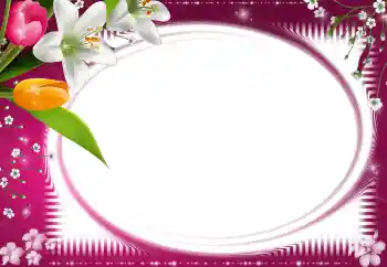 Efekt zdjęciowy z kategorii Ramki dla kobiet № 59128