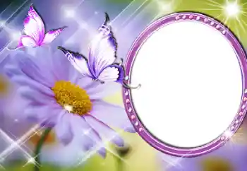 Efekt zdjęciowy z kategorii Ramki dla kobiet № 60196