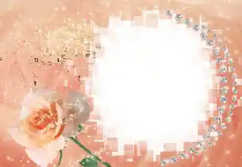 Efekt zdjęciowy z kategorii Ramki dla kobiet № 60395 Efekt zdjęciowy z kategorii Ramki dla kobiet № 60395