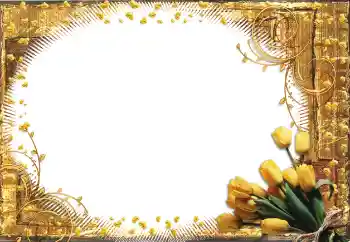 Efekt zdjęciowy z kategorii Ramki dla kobiet № 60398 Efekt zdjęciowy z kategorii Ramki dla kobiet № 60398