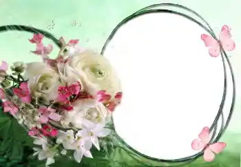 Efekt zdjęciowy z kategorii Ramki dla kobiet № 60415 Efekt zdjęciowy z kategorii Ramki dla kobiet № 60415