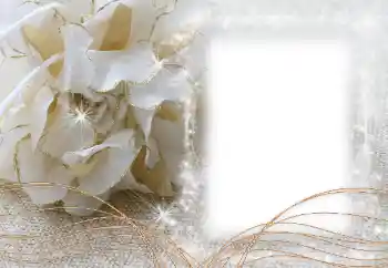 Efekt zdjęciowy z kategorii Ramki dla kobiet № 60472 Efekt zdjęciowy z kategorii Ramki dla kobiet № 60472