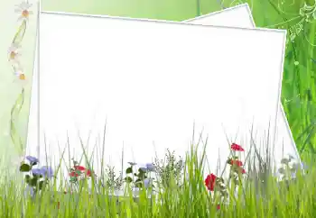 Efekt zdjęciowy z kategorii Ramki dla kobiet № 62627 Efekt zdjęciowy z kategorii Ramki dla kobiet № 62627