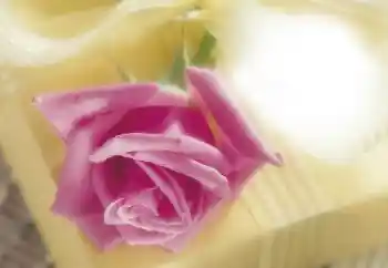 Efekt zdjęciowy z kategorii Ramki dla kobiet № 64263