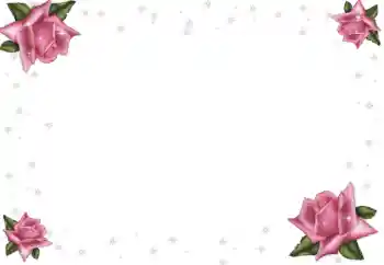 Efekt zdjęciowy z kategorii Ramki dla kobiet № 64369 Efekt zdjęciowy z kategorii Ramki dla kobiet № 64369