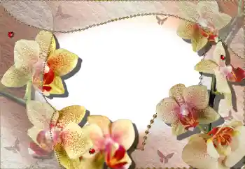 Efekt zdjęciowy z kategorii Ramki dla kobiet № 64386 Efekt zdjęciowy z kategorii Ramki dla kobiet № 64386