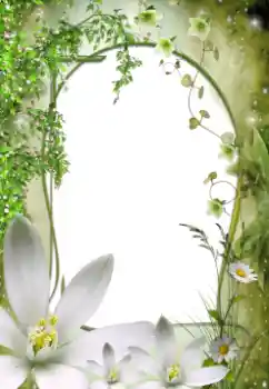 Efekt zdjęciowy z kategorii Ramki dla kobiet № 64492 Efekt zdjęciowy z kategorii Ramki dla kobiet № 64492